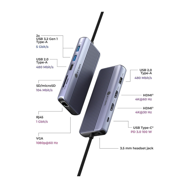 Priklopna postaja IcyBox IB-DK4062-CPD, 12-v-1, USB-C