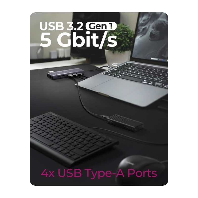 Priklopna postaja IcyBox IB-DK4062-CPD, 12-v-1, USB-C