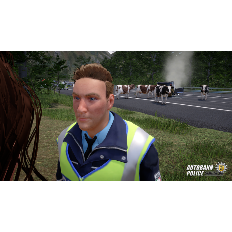 Igra Autobahn Police Simulator 3 (Playstation 4)