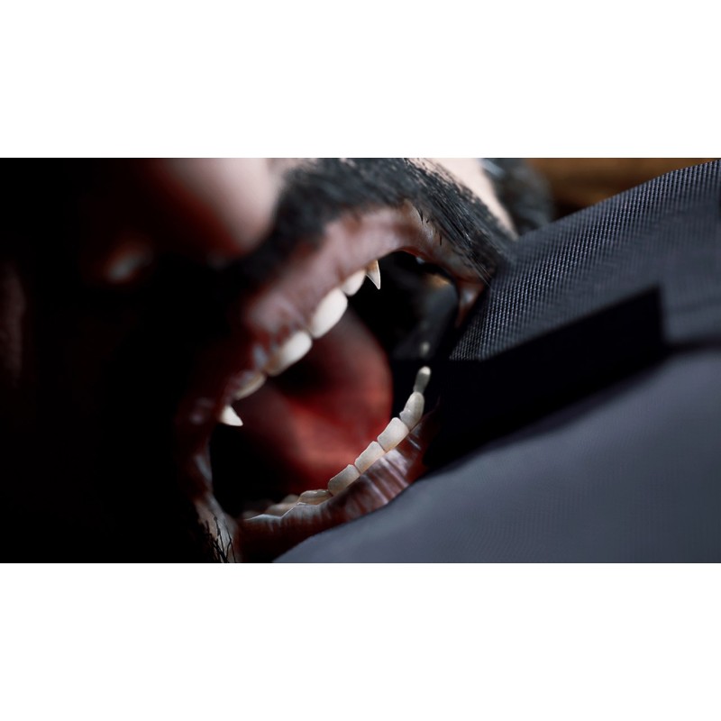 Igra Vampire: The Masquerade - Swansong (PC)