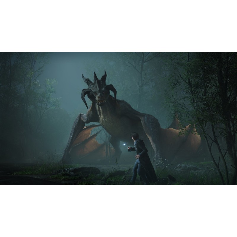 Igra Hogwarts Legacy (Xbox Series X)