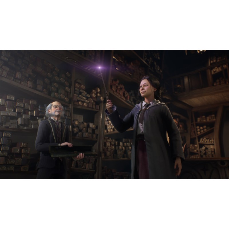 Igra Hogwarts Legacy (Xbox Series X)