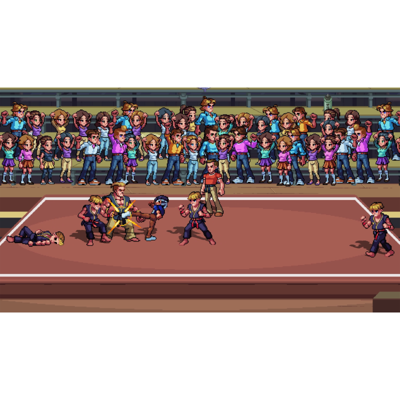 Igra Karate Kid: Street Rumble (Nintendo Switch)