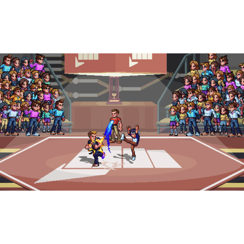 Igra Karate Kid: Street Rumble (Nintendo Switch)