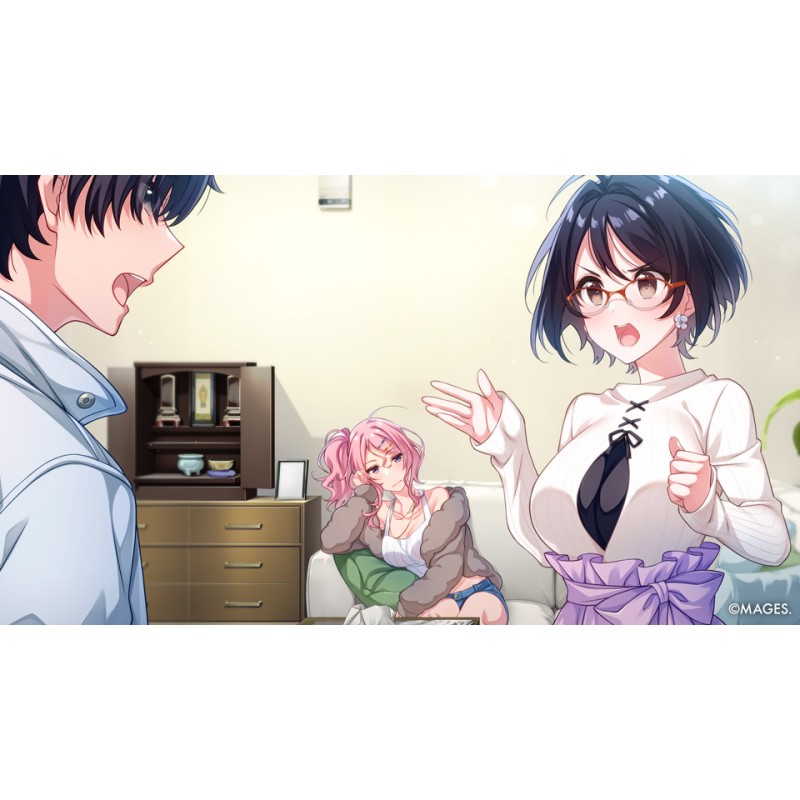 Igra SINce Memories: Off The Starry Sky (Nintendo Switch)
