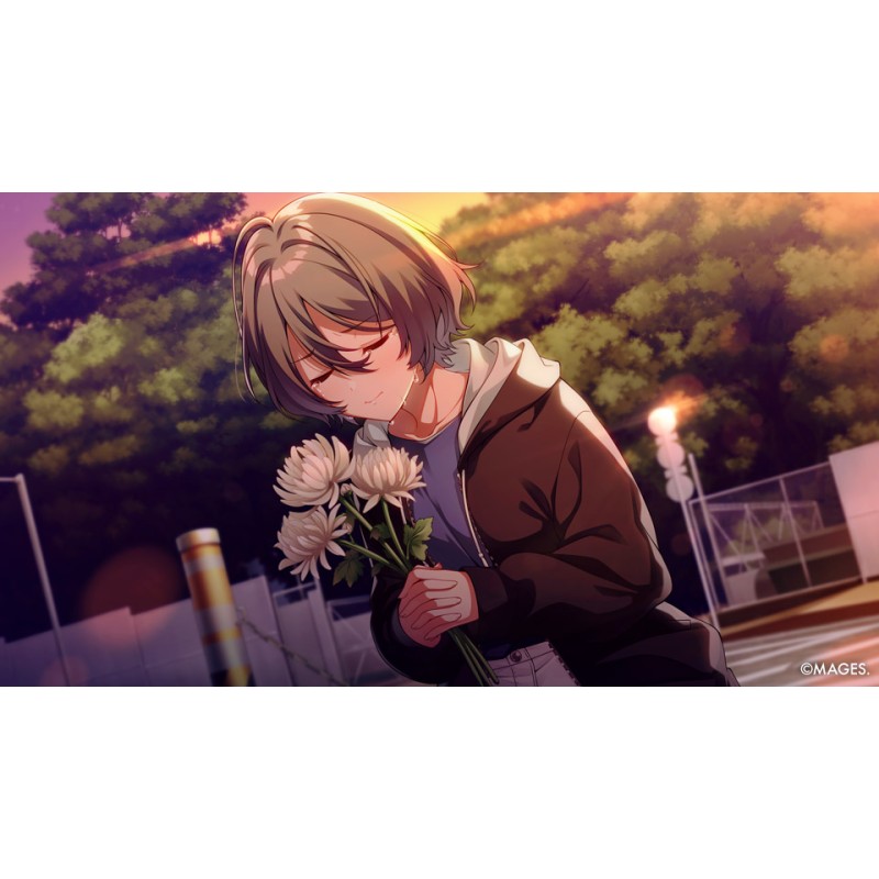 Igra SINce Memories: Off The Starry Sky (Nintendo Switch)