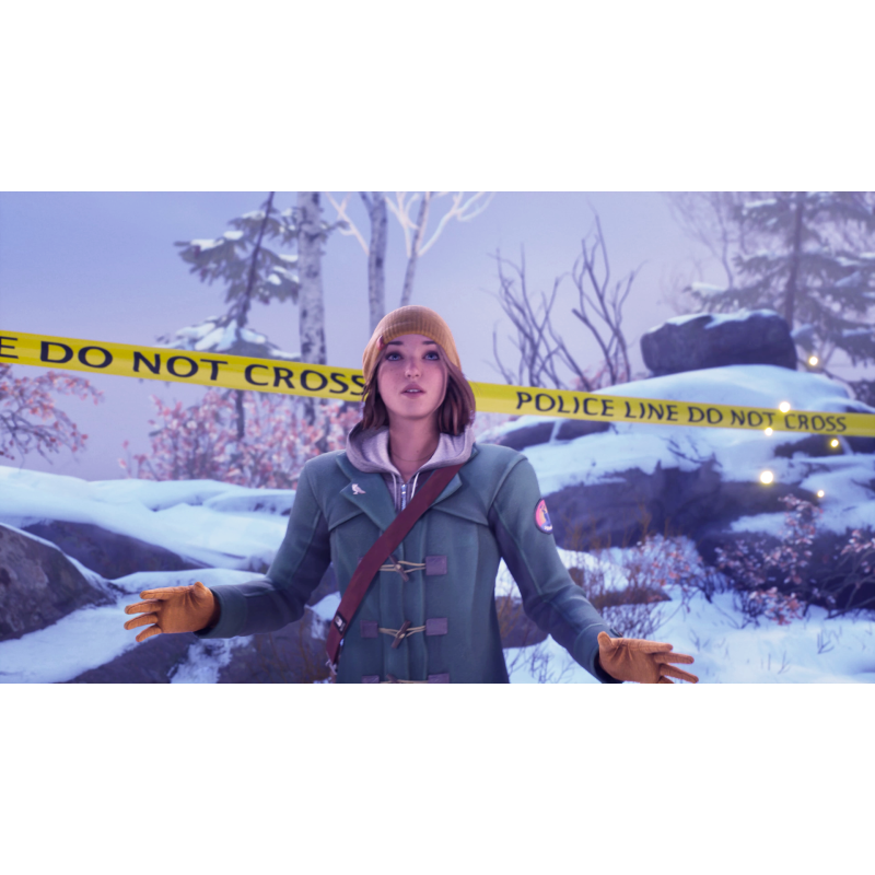Igra Life Is Strange: Double Exposure (Nintendo Switch)