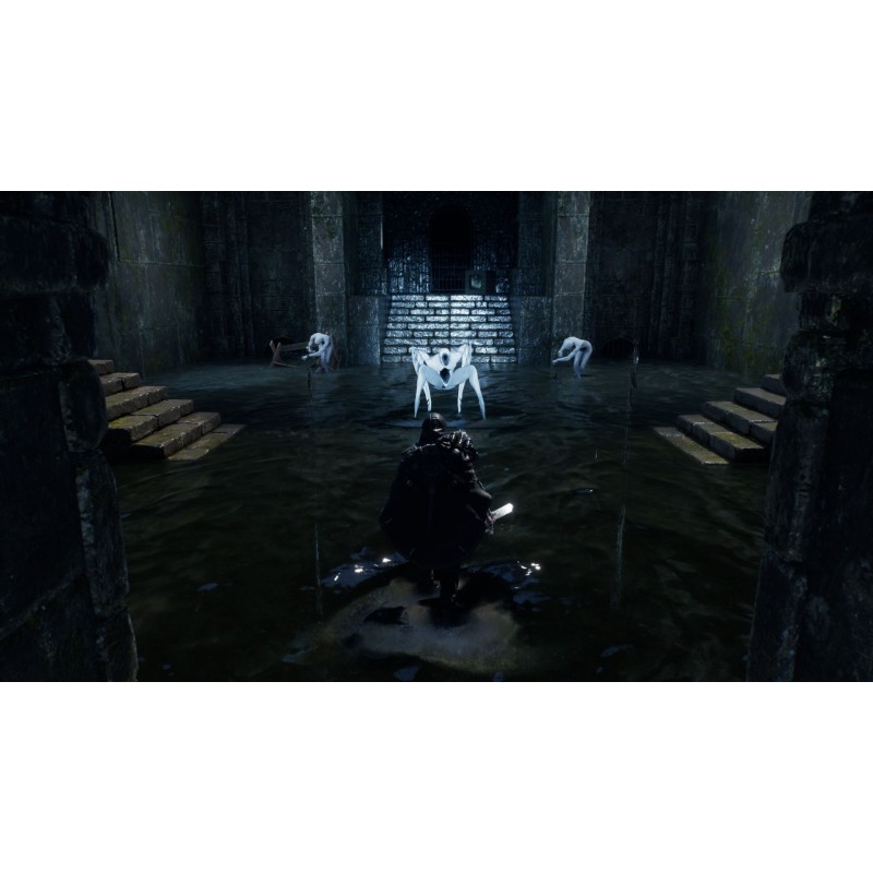 Igra Hell Is Us (Playstation 5)
