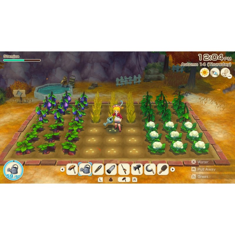 Igra Story Of Seasons: Grand Bazaar - Limited Edition (SWITCH)