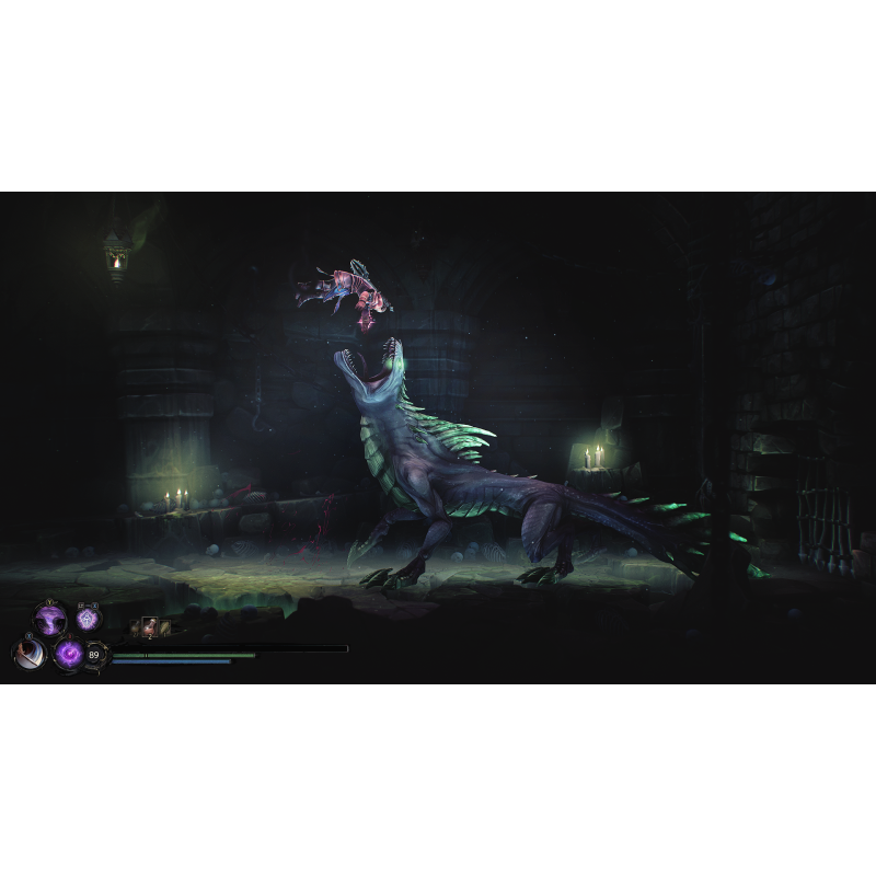 Igra Mandragora: Whispers Of The Witch Tree (Xbox Series X)