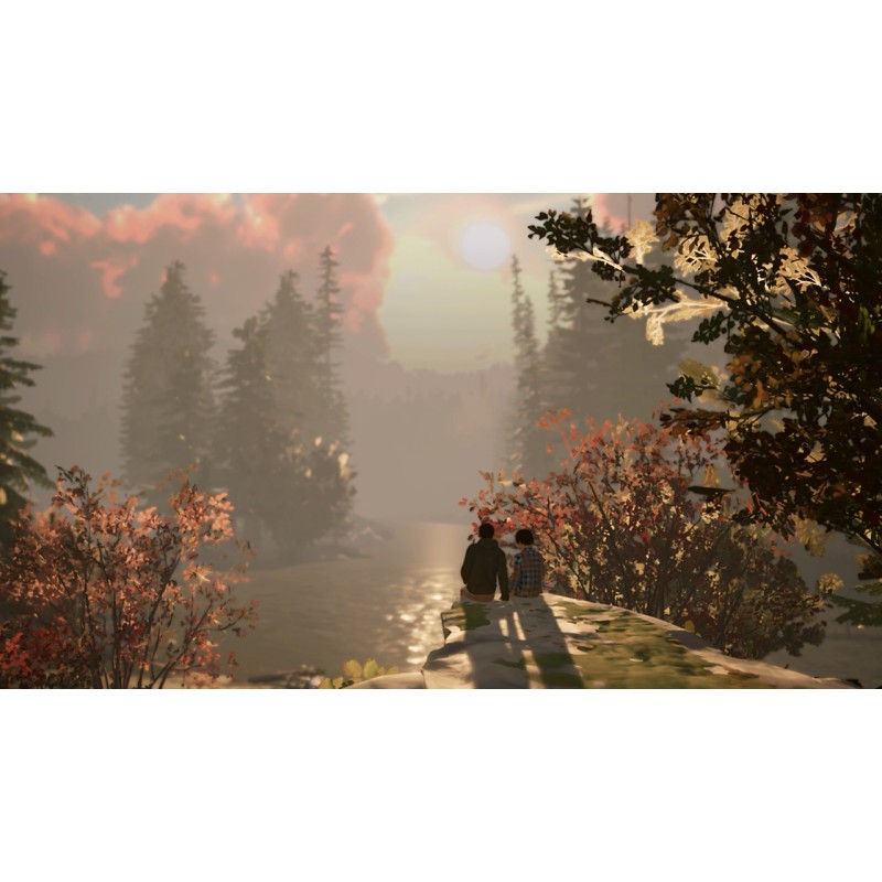 Igra Life Is Strange 2 (Nintendo Switch)
