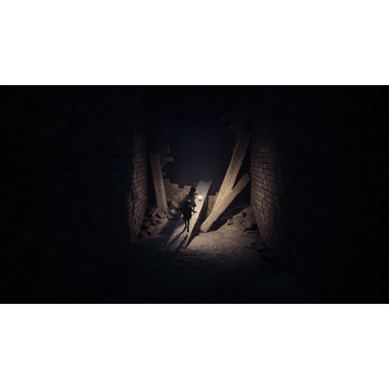 Igra REANIMAL (PC)