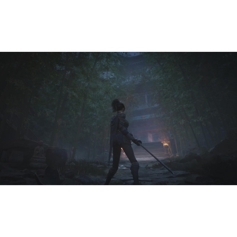 Igra Wuchang: Fallen Feathers (Playstation 5)