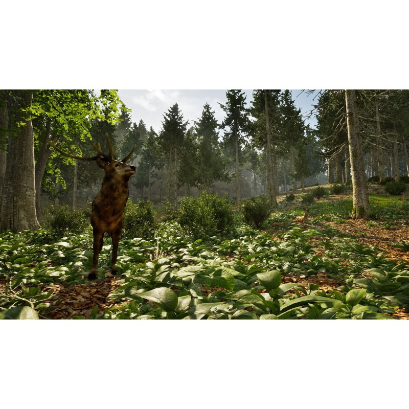 Igra Park Ranger Simulator (Playstation 5)