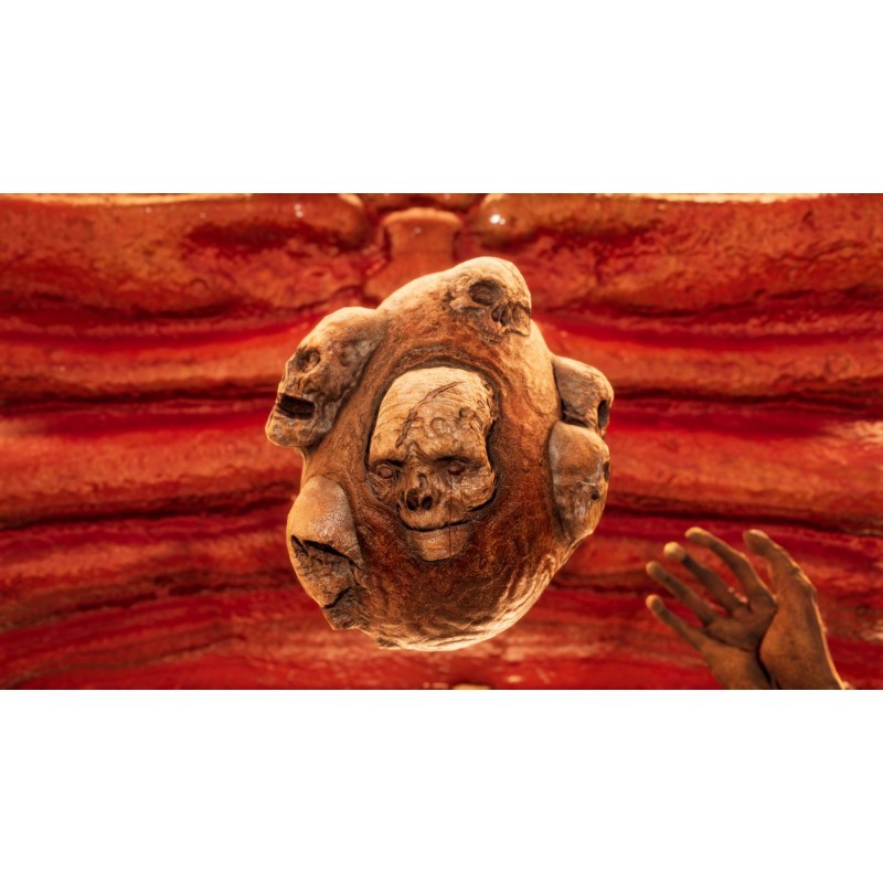 Igra Necrophosis : Full Consciousness & The Shore Double Pack (Playstation 5)