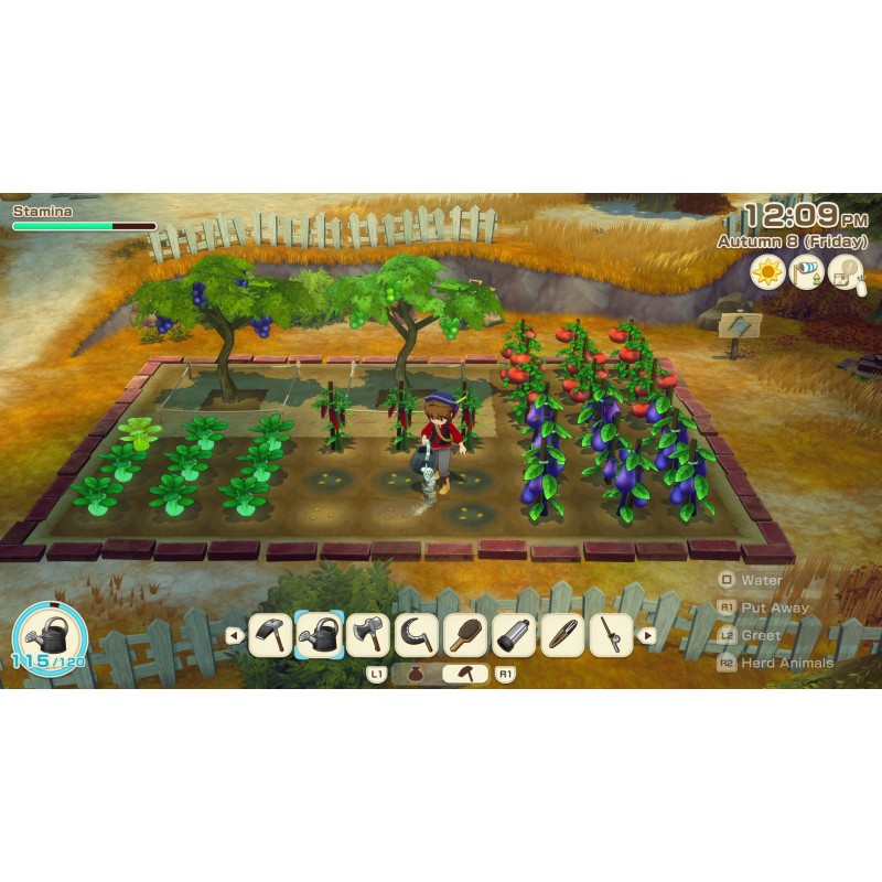 Igra Story Of Seasons: Grand Bazaar (Playstation 5)