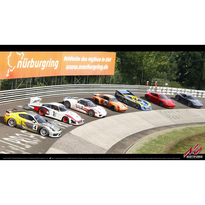 Igra Assetto Corsa: Ultimate Edition (Playstatin 4)