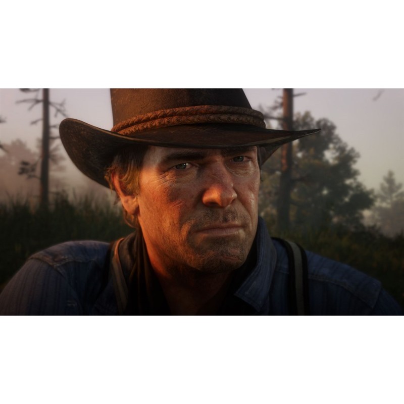 Igra Red Dead Redemption 2 (PS4)