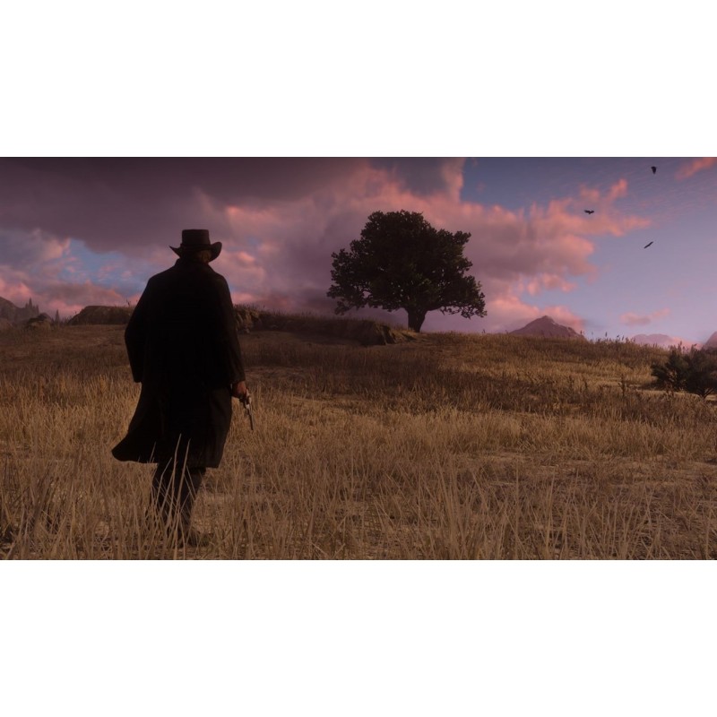 Igra Red Dead Redemption 2 (PS4)