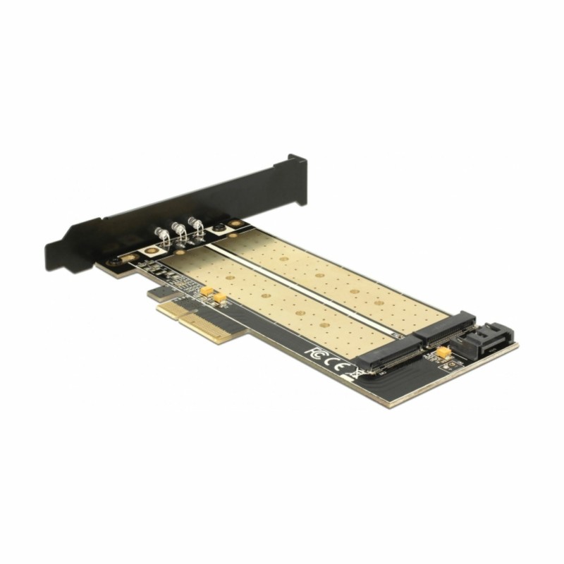 Razširitvena kartica Delock Delock 1xM.2 NGFF + 1x M.2 NVMe + Low Profile