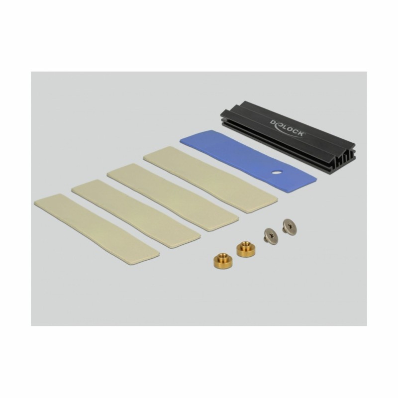 Razširitvena kartica Delock Delock 1xM.2 NGFF + 1x M.2 NVMe + Low Profile