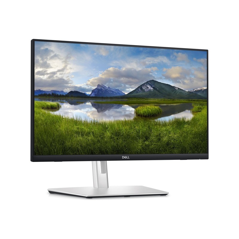Monitor DELL P2424HT