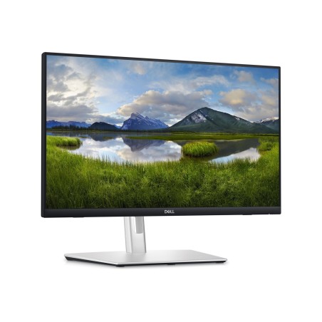 Monitor DELL P2424HT
