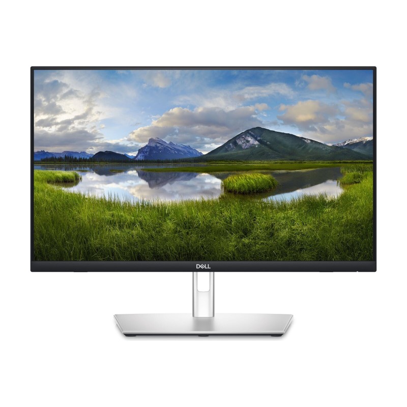 Monitor DELL P2424HT