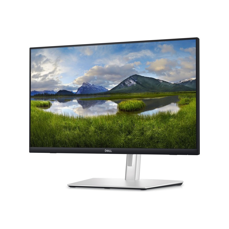 Monitor DELL P2424HT