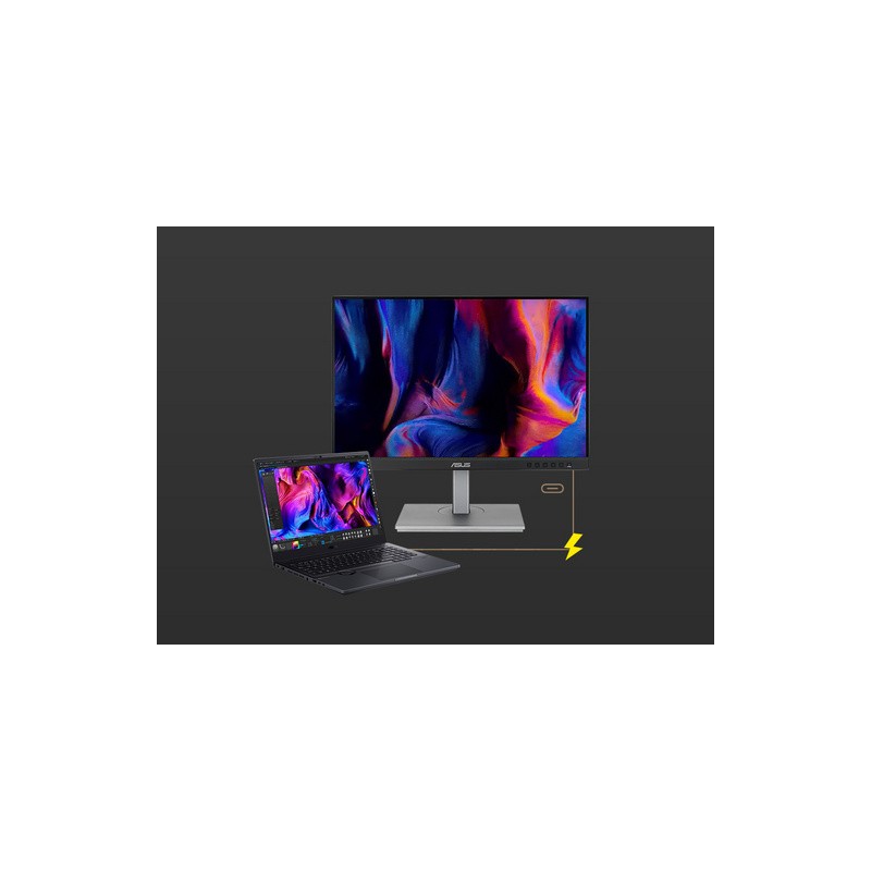 Monitor ASUS ProArt PA248CNV