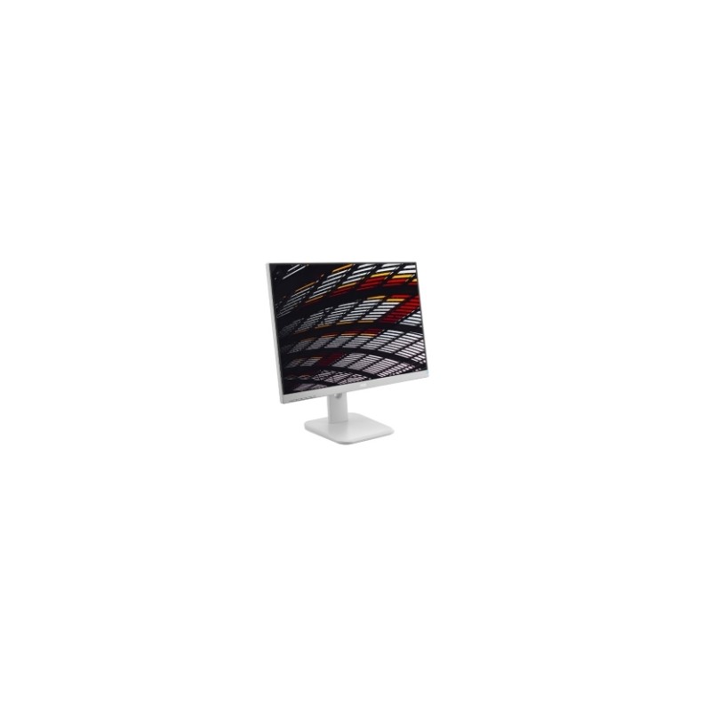 Monitor AOC X24P1/GR