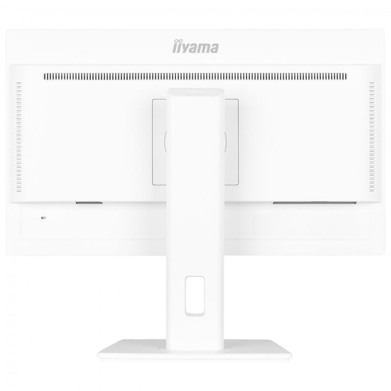 Monitor IIYAMA Prolite XUB2497HSU-W2