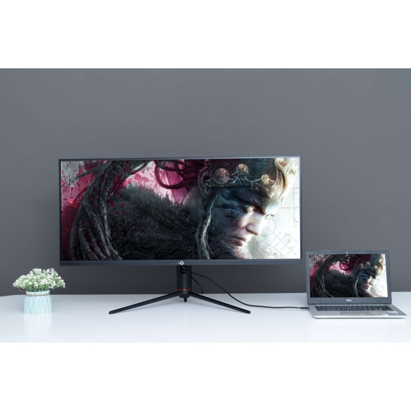 Monitor TITAN ARMY P40UG