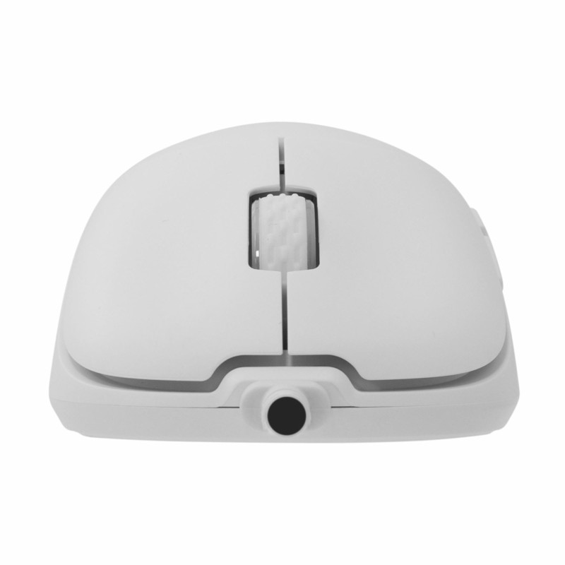 Miška WHITE SHARK GRAPHENE bela, GM-5014