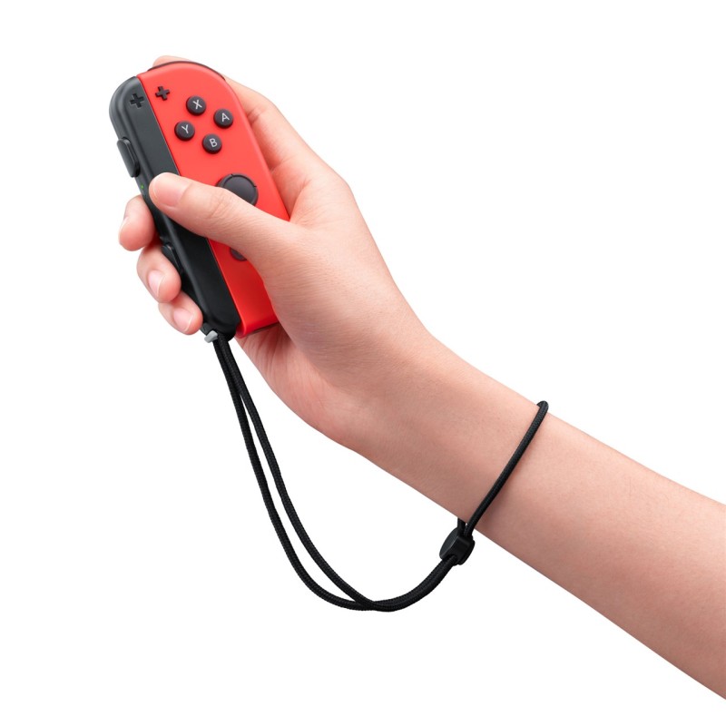 Igra Nintendo Switch Sports