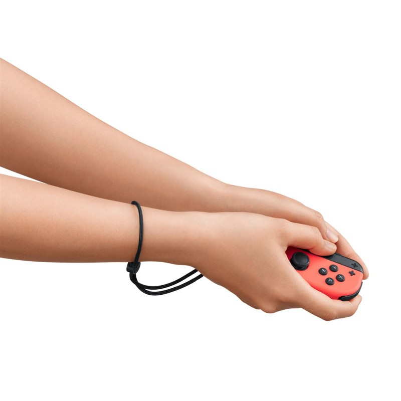 Igra Nintendo Switch Sports