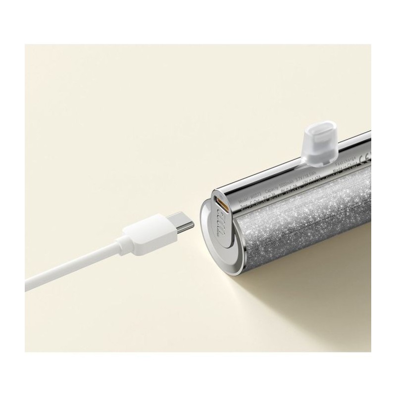 Prenosna baterija Powerbank VEGER W0573S, 5000mAh, srebrna