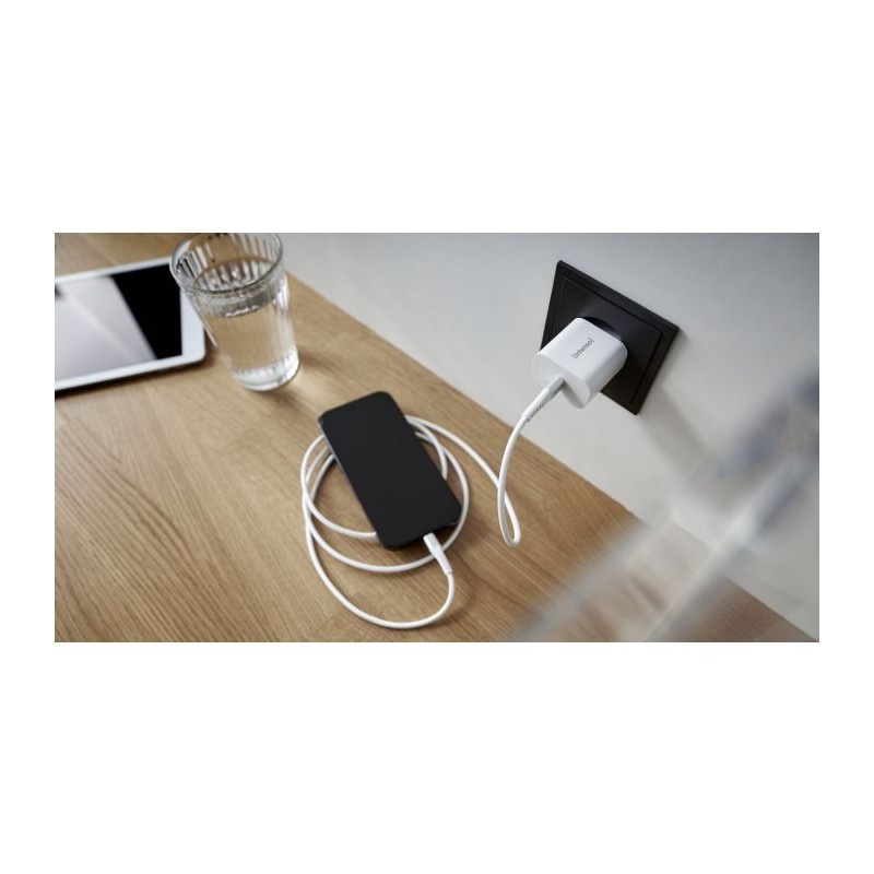 Polnilec Intenso W20C USB-C, 20W, 7802012
