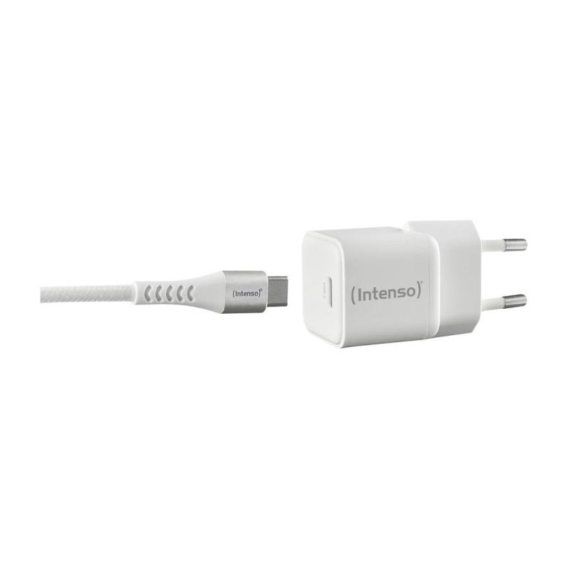 Polnilec Intenso W30C USB-C, 30W, 7803042