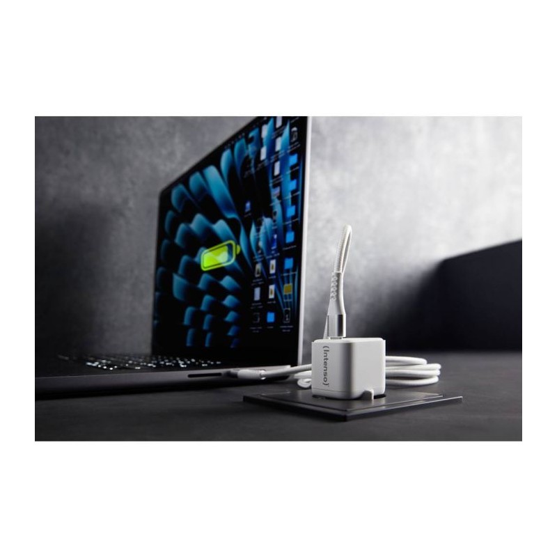 Polnilec Intenso W30C USB-C, 30W, 7803042
