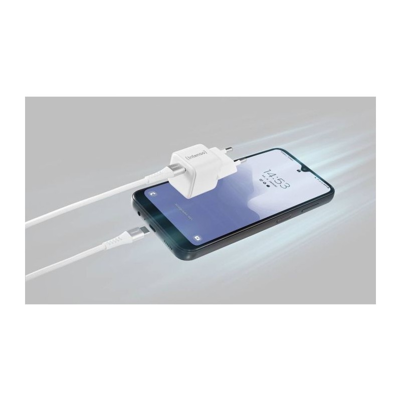 Polnilec Intenso W30C USB-C, 30W, 7803042