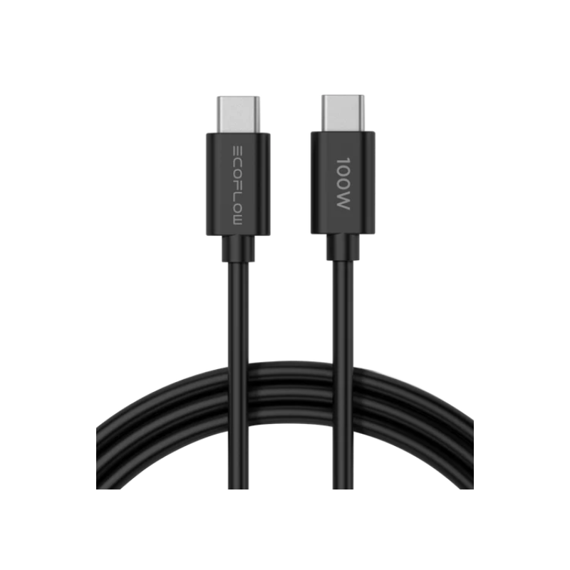Polnilec EcoFlow Rapid Charger 65W GaN