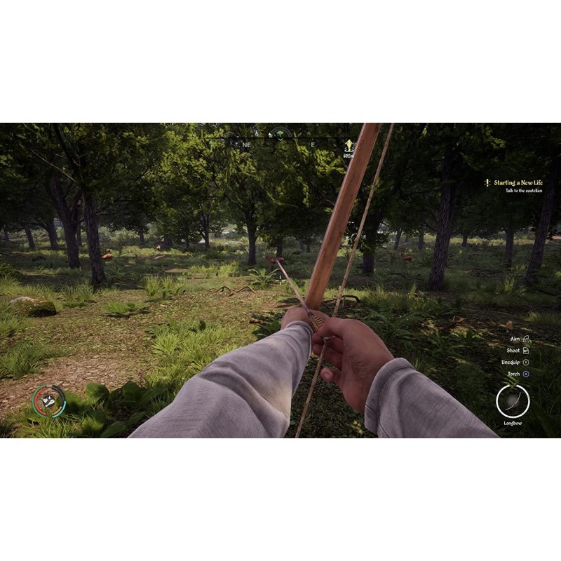 Igra Medieval Dynasty (Playstation 5)