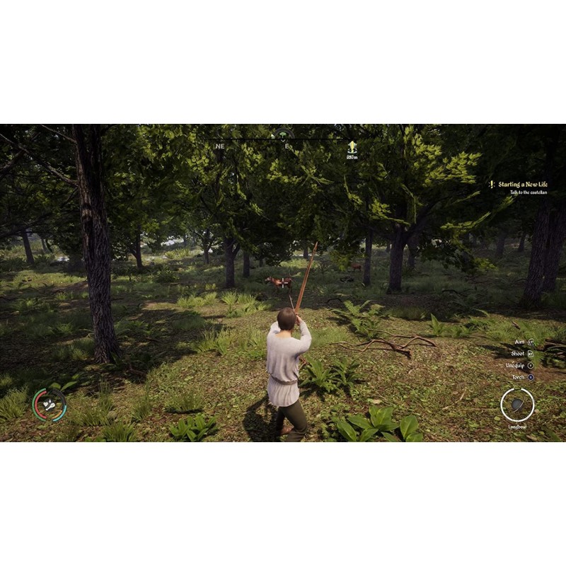 Igra Medieval Dynasty (Playstation 5)
