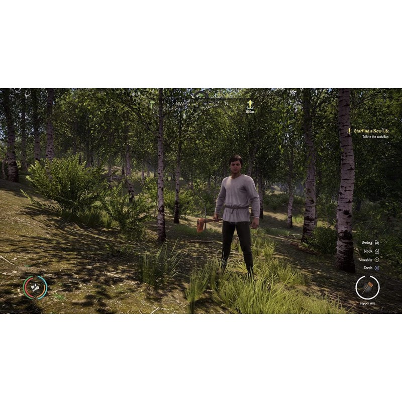 Igra Medieval Dynasty (Playstation 5)