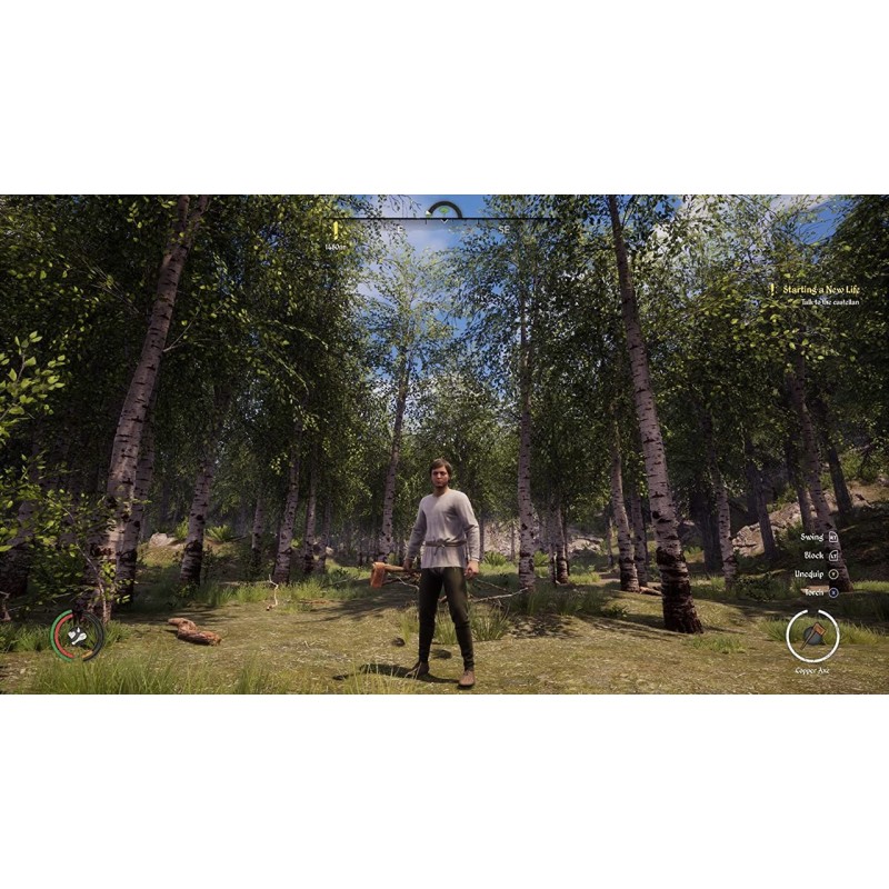 Igra Medieval Dynasty (Playstation 5)