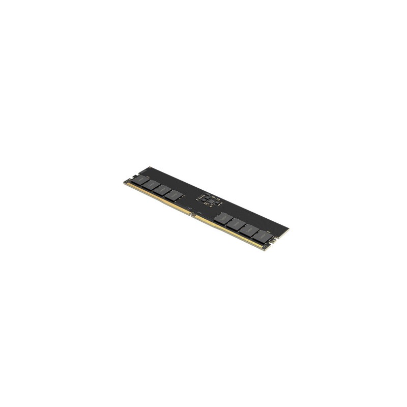 Pomnilnik DDR5 32GB (1x32GB) 5600MHz Lexar
