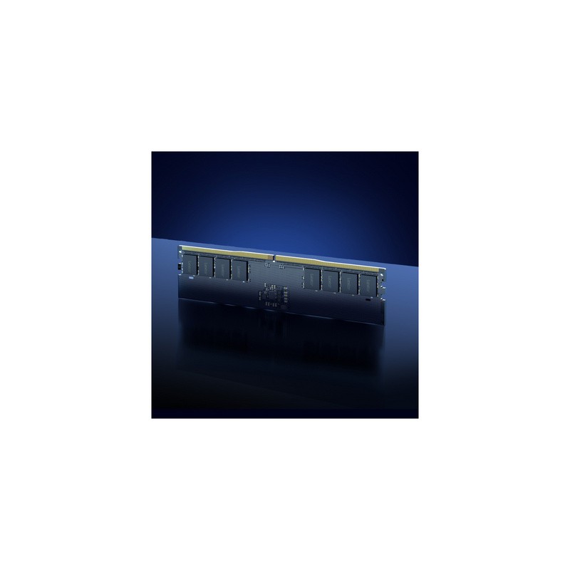 Pomnilnik DDR5 32GB (1x32GB) 5600MHz Lexar