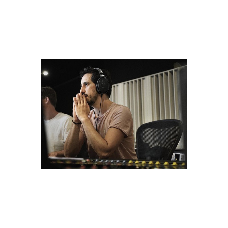 Slušalke Sennheiser HD 650