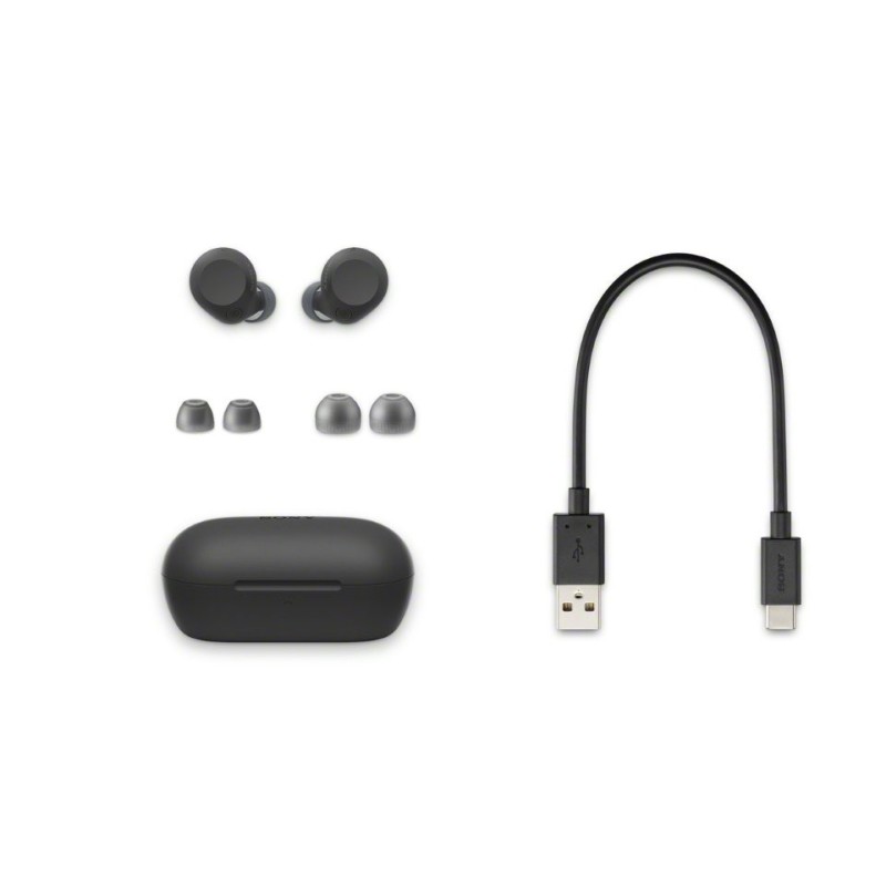 Slušalke SONY BT WFC710NB.CE7, črne
